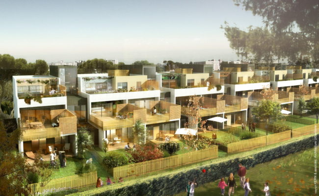 PRAGMA_PERSPECTIVE PERMIS -C-