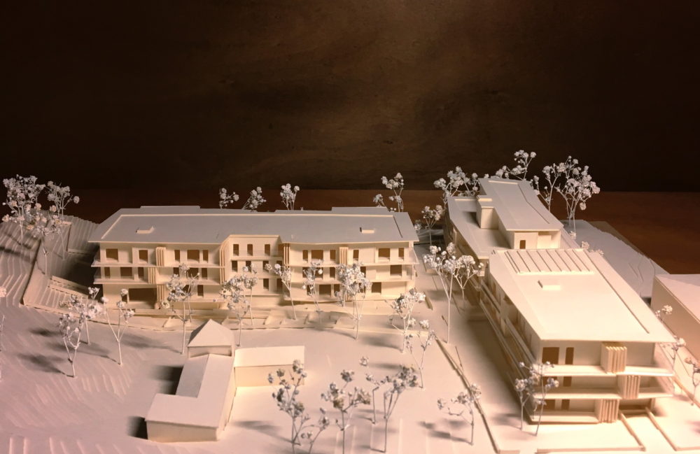 kern_peymeinade_pinede_2017-01