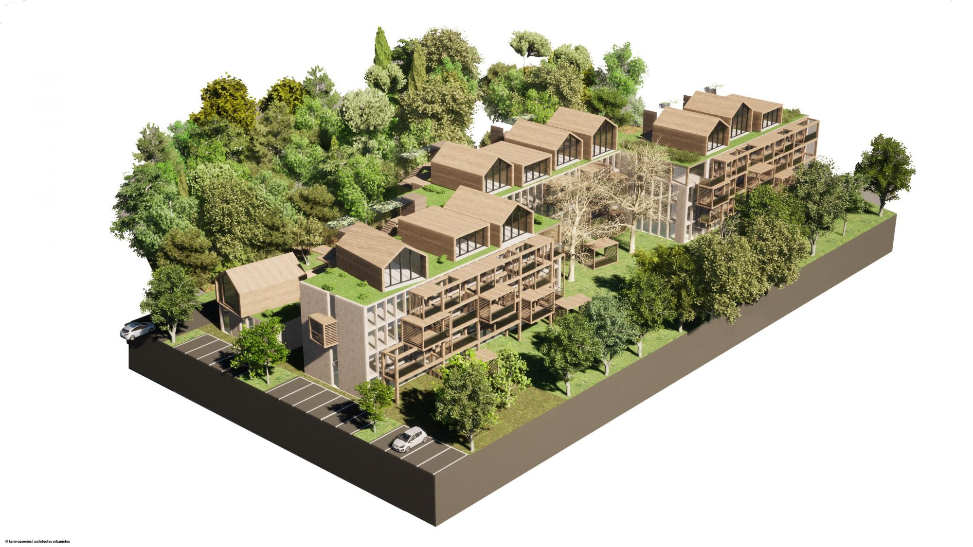 maquette 1 fond blanc-min (1)